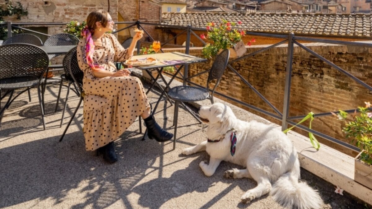 20 Unforgettable Experiences for Your Dog's Bucket List - dog in city ss2137587269