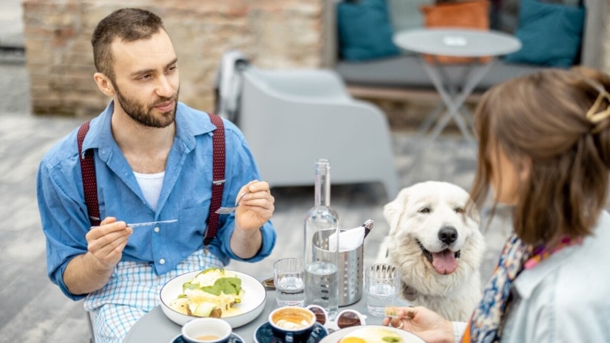 20 Unforgettable Experiences for Your Dog's Bucket List 11 20 Unforgettable Experiences for Your Dog's Bucket List - dog in restaurant ss2166582229