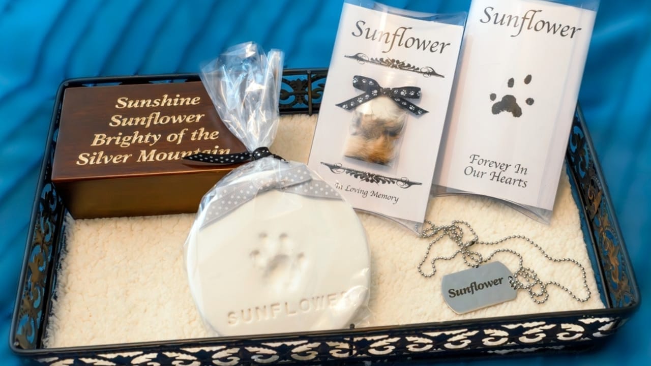 When Your Dog Dies at Home: 10 Steps Every Owner Should Know 8 When Your Dog Dies at Home: 10 Steps Every Owner Should Know -