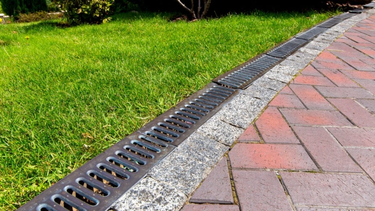 15 Tips to Banish Moss from Your Lawn 4 15 Tips to Banish Moss from Your Lawn - drainage lawn dp298209018