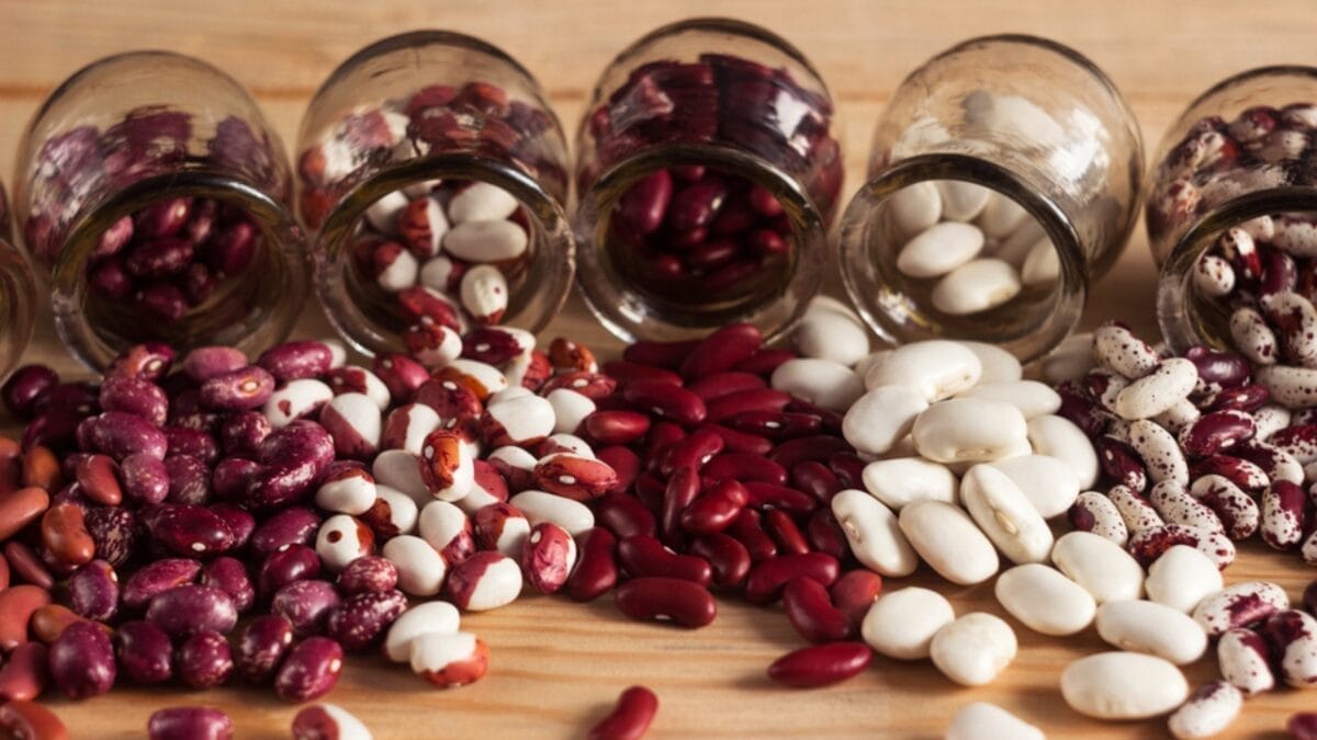 18 Foods to Stock in a Survival Pantry for 20+ Years 5 18 Foods to Stock in a Survival Pantry for 20+ Years - dried beans dp546927716