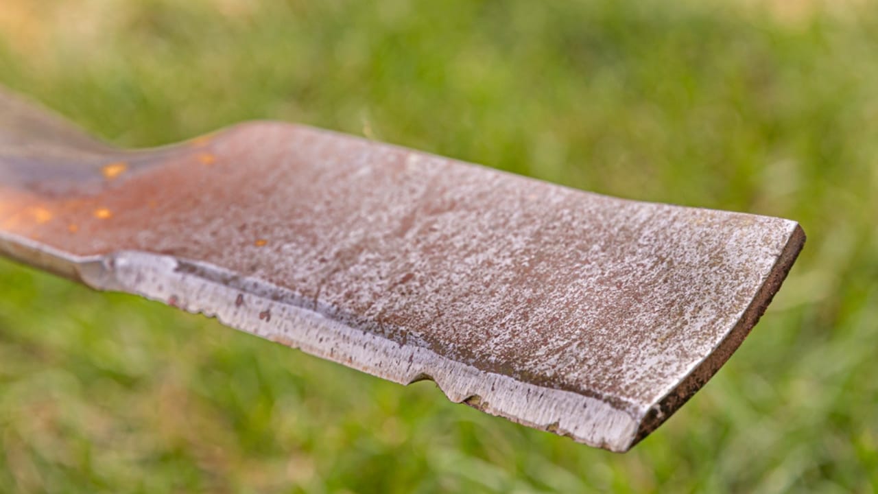 10 Lawn Mowing Mistakes to Avoid to Prevent Weed Invasion 6 10 Lawn Mowing Mistakes to Avoid to Prevent Weed Invasion - dull mower blade ss1444562840