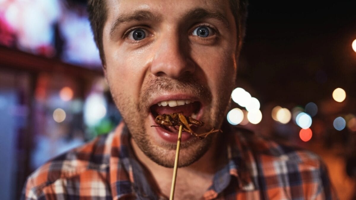 Edible Insects are Gaining Buzz: 7 Things You Should Know 7 Edible Insects are Gaining Buzz: 7 Things You Should Know - eating cricket dp173298748
