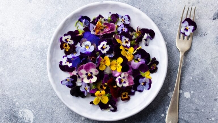 25 Edible Flowers Revolutionizing Modern Cuisine 7 25 Edible Flowers Revolutionizing Modern Cuisine - edible flowers ss1662385039