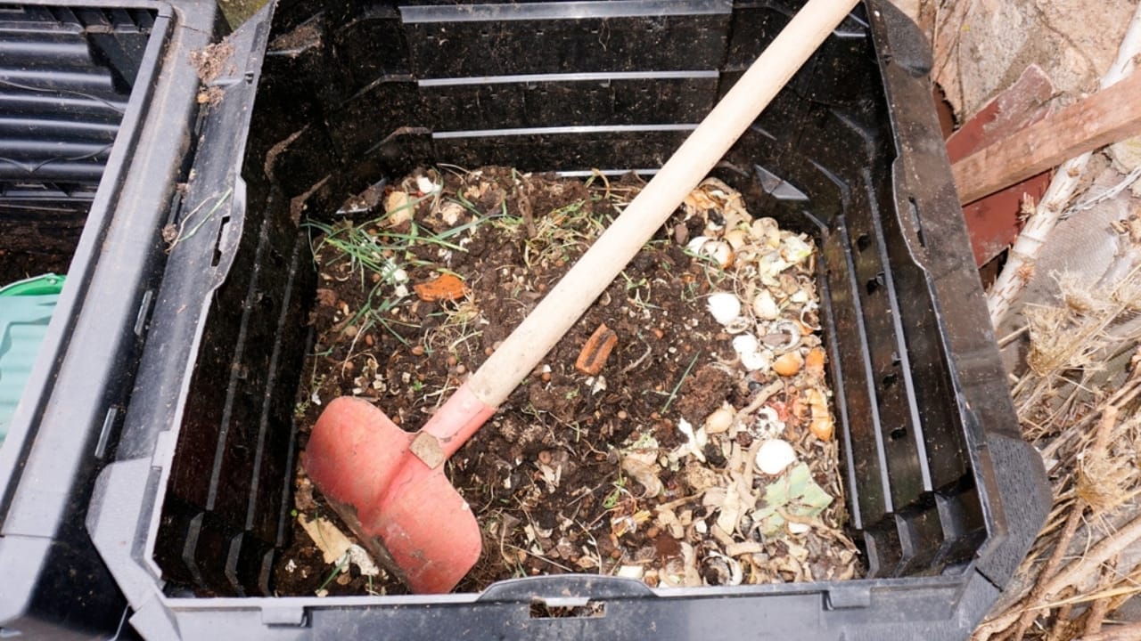 15 Genius Uses for Eggshells in Your Garden - eggshell compost ss2147556611