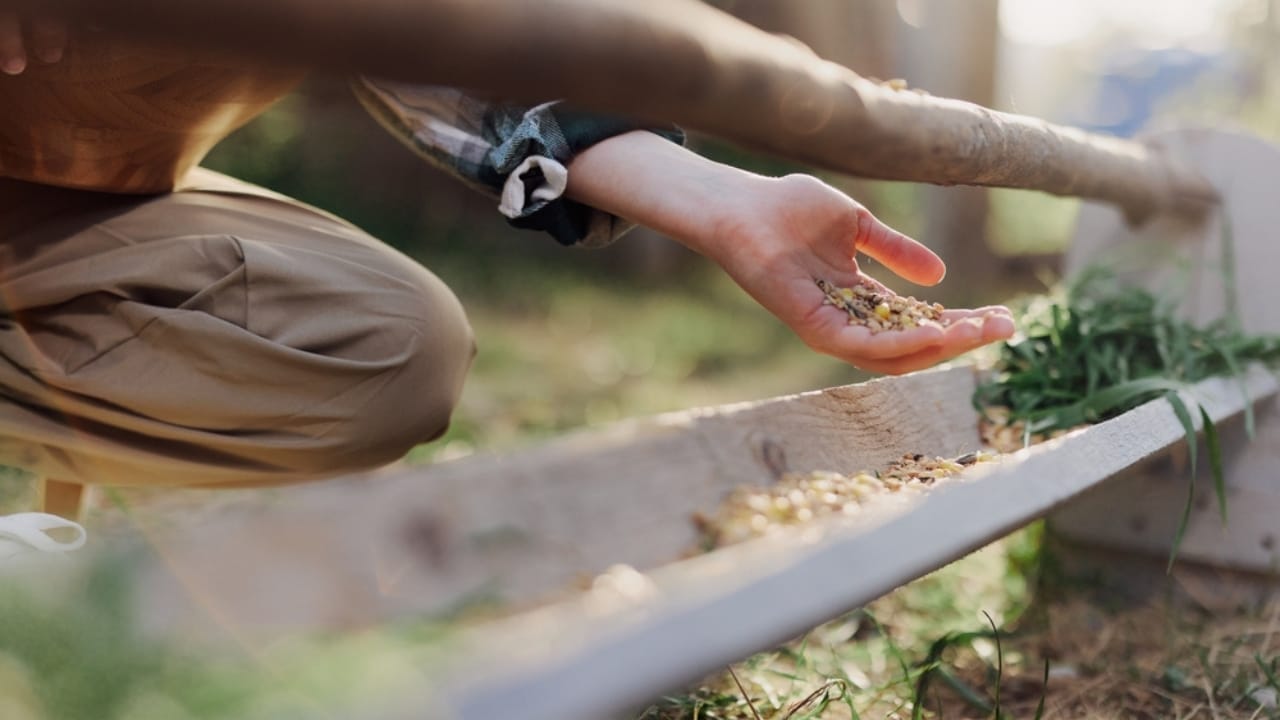 15 Genius Uses for Eggshells in Your Garden 8 15 Genius Uses for Eggshells in Your Garden - eggshell feeder ss2168091827