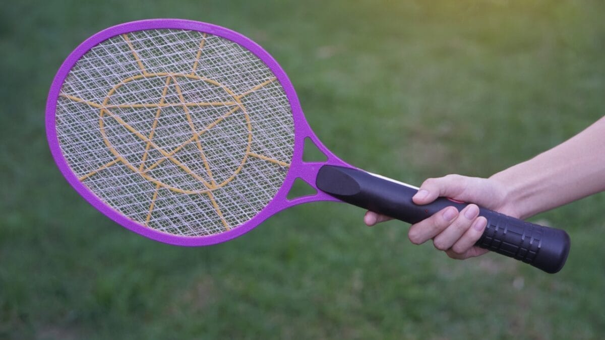 Dollar-Store Finds Every Homesteader Should Stock Up On 14 Dollar-Store Finds Every Homesteader Should Stock Up On - electric fly swatter dp664975200