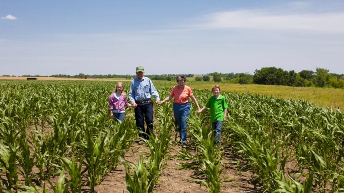 15 Profitable Homestead Side Hustles to Earn an Extra $1,000 Monthly 7 15 Profitable Homestead Side Hustles to Earn an Extra $1,000 Monthly - farm tour dp21426207