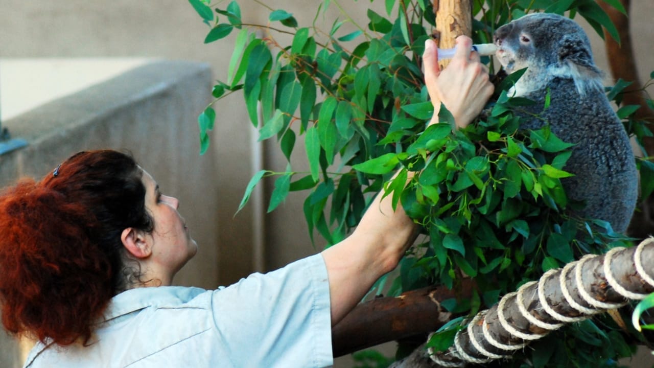 Botanists Take a Stand to Remove Racism from Plant Names 4 Botanists Take a Stand to Remove Racism from Plant Names - female zoologist ss1063992884