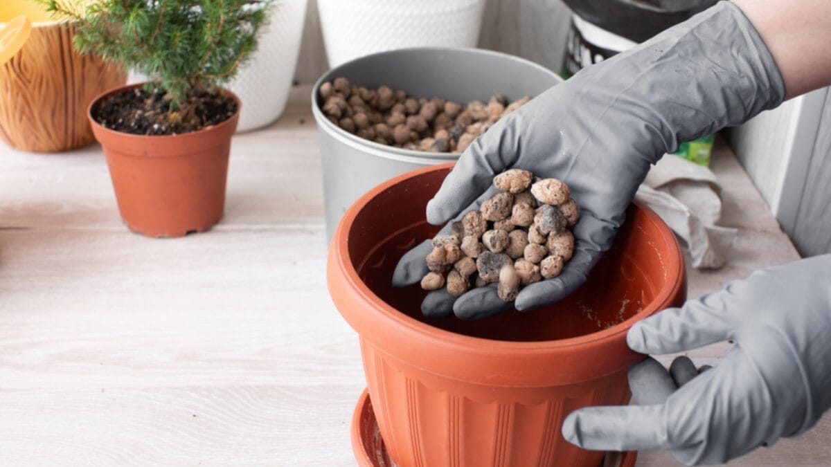 10 Tips for Perfectly Arranging Outdoor Plant Pots Like a Pro 7 10 Tips for Perfectly Arranging Outdoor Plant Pots Like a Pro - filler in pot dp402233176