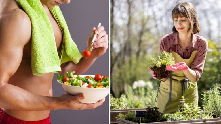 45% of Older Adults Have Age-Related Muscle Loss: 17 High-Protein Plants You Can Grow in Your Garden 9 45% of Older Adults Have Age-Related Muscle Loss: 17 High-Protein Plants You Can Grow in Your Garden - fit man gardener ss253347028