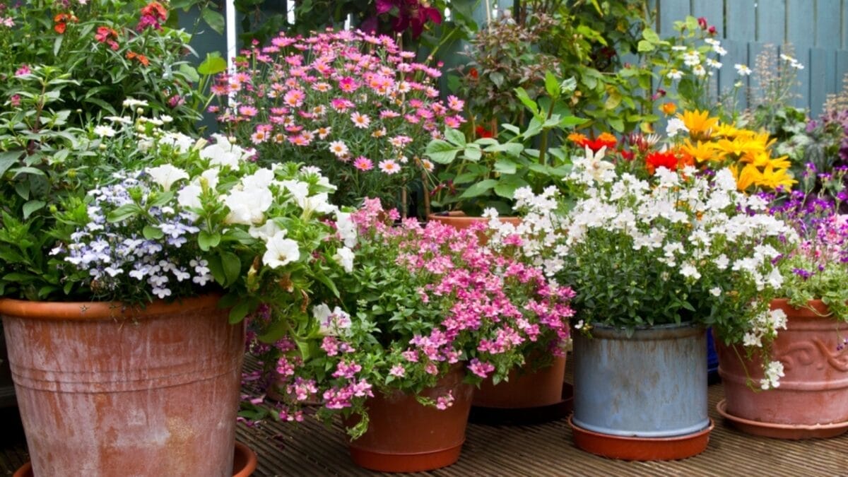 Landscaping Pros Swear by the Rule of Three—Here’s How to Apply It to Your Garden - flower garden ss2179577485