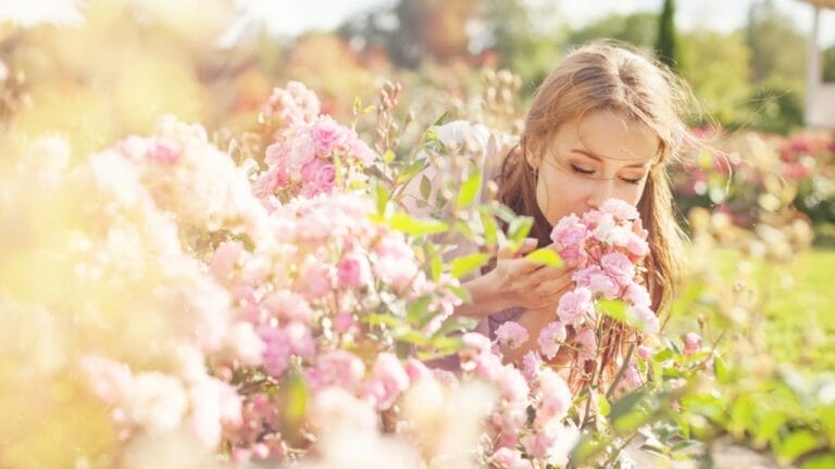 15 Fragrant Blooms That Will Transform Your Garden’s Scent 9 15 Fragrant Blooms That Will Transform Your Garden’s Scent - flower ss213443500