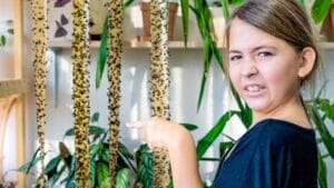 15 Effective Ways to Get Rid of Flies in Your House 1 15 Effective Ways to Get Rid of Flies in Your House - fly strips with girl ss1852692700