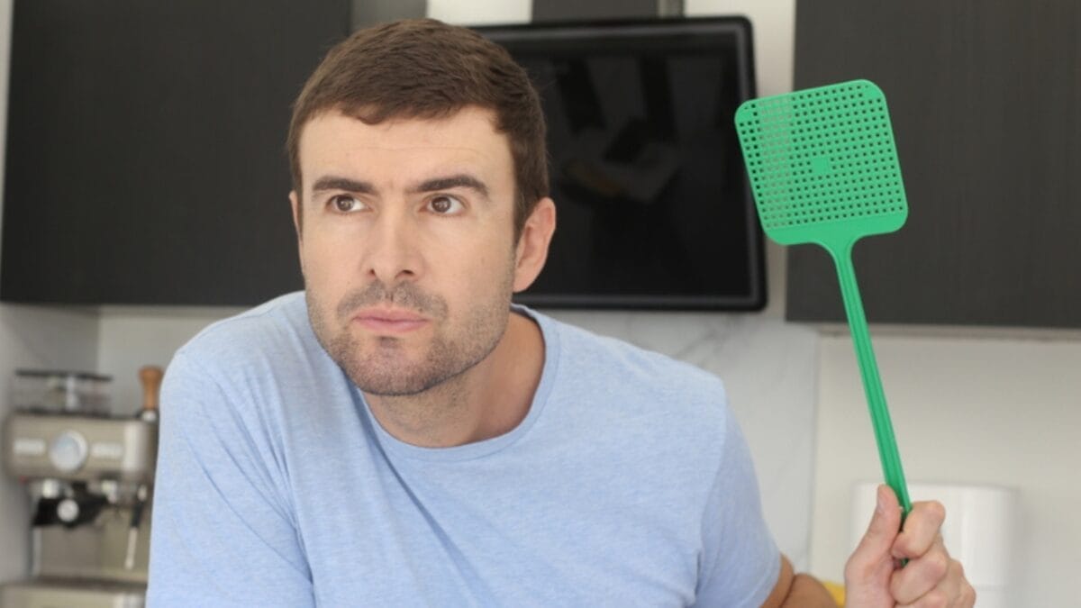 15 Effective Ways to Get Rid of Flies in Your House 9 15 Effective Ways to Get Rid of Flies in Your House - fly swatter dp617010716