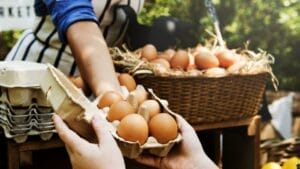 15 Profitable Homestead Side Hustles to Earn an Extra $1,000 Monthly 1 15 Profitable Homestead Side Hustles to Earn an Extra $1,000 Monthly - fresh chicken eggs ss608678075