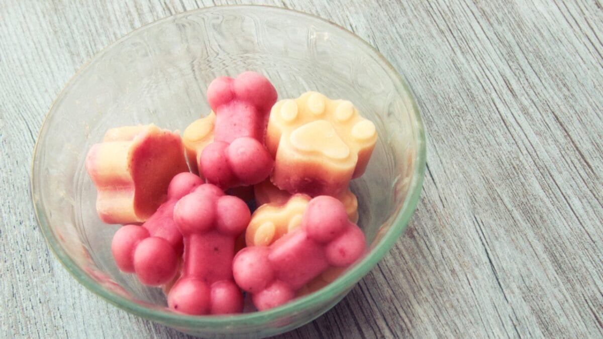 Beyond Water: 5 Safe Drinks for Your Dog 6 Beyond Water: 5 Safe Drinks for Your Dog - frozen yogurt dog dp377445926