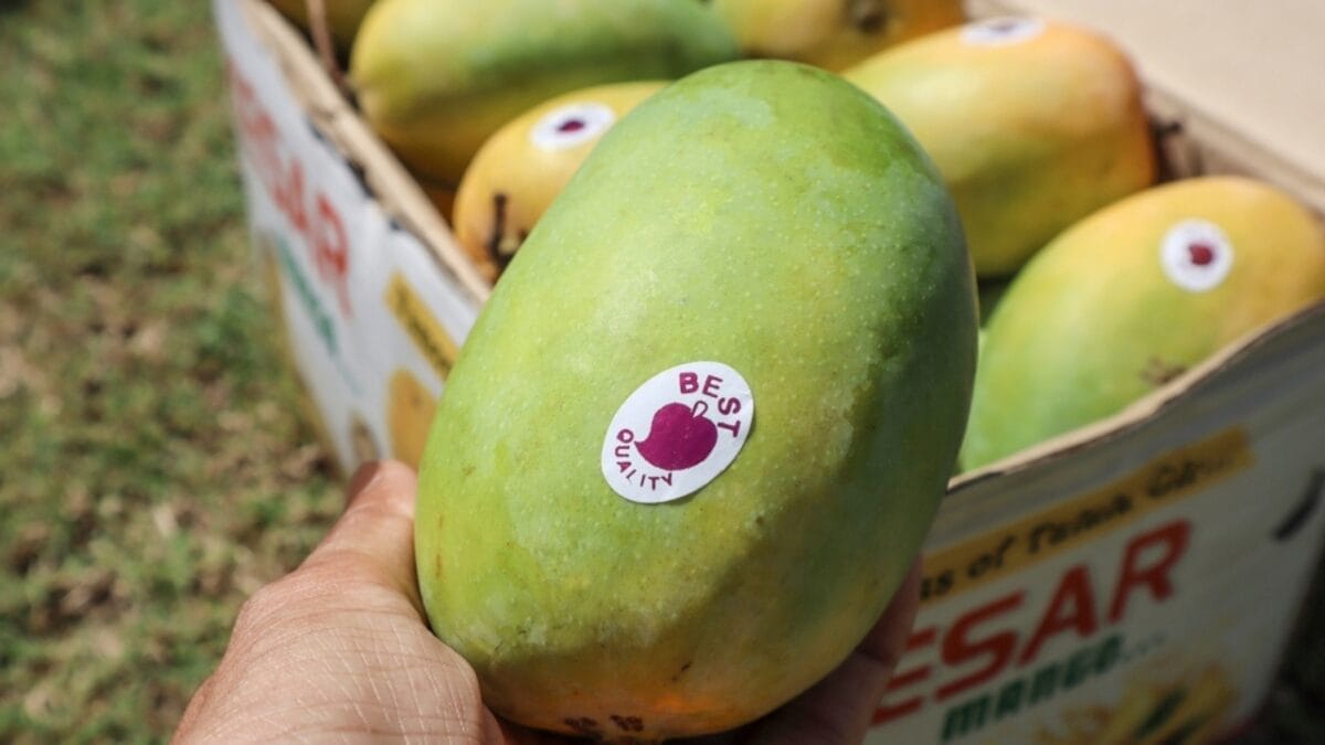 17 Items That Don’t Belong in Your Compost Bin 17 17 Items That Don’t Belong in Your Compost Bin - fruit sticker ss2316343069