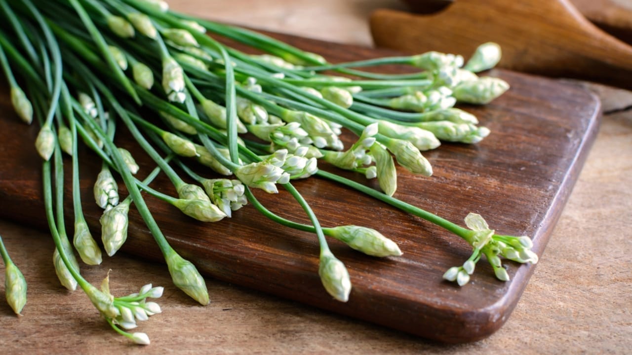 22 Perennial Herbs to Plant Now & Enjoy Forever 22 22 Perennial Herbs to Plant Now & Enjoy Forever - garlic chives dp101307832 1