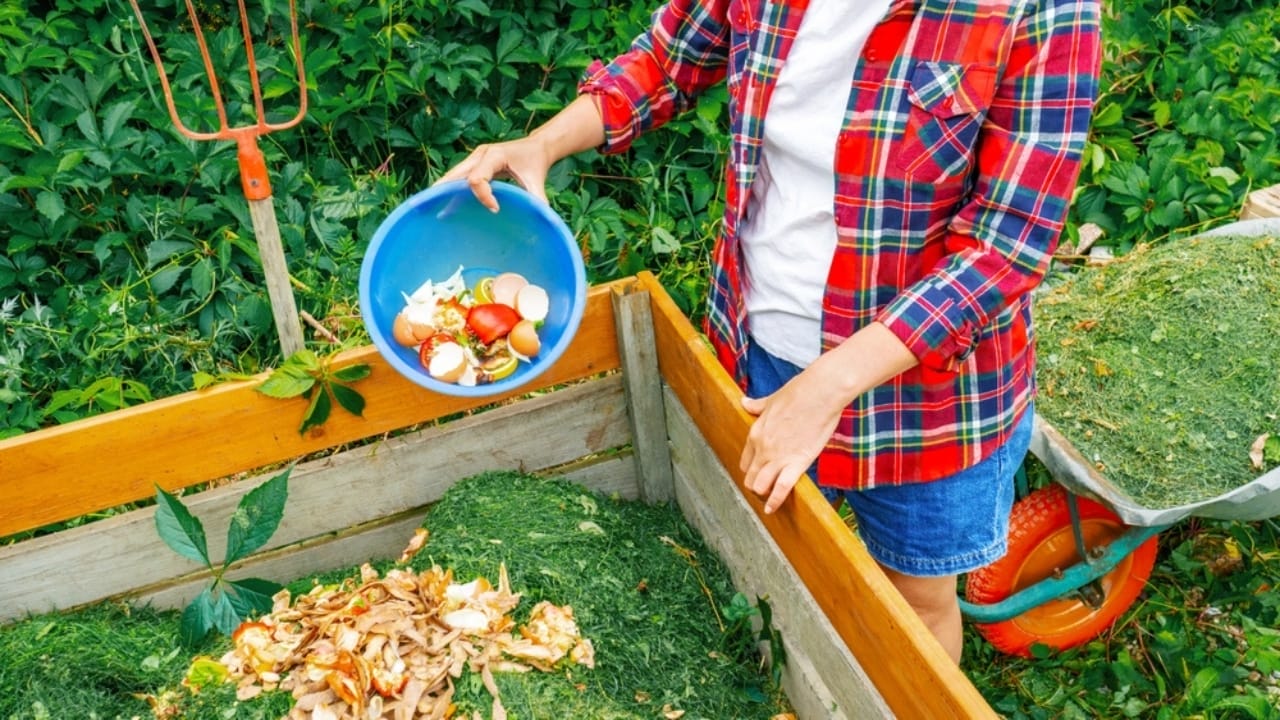 Leftover Grass? 10 Clever Ways to Repurpose It 3 Leftover Grass? 10 Clever Ways to Repurpose It - grass clippings ss2264870979