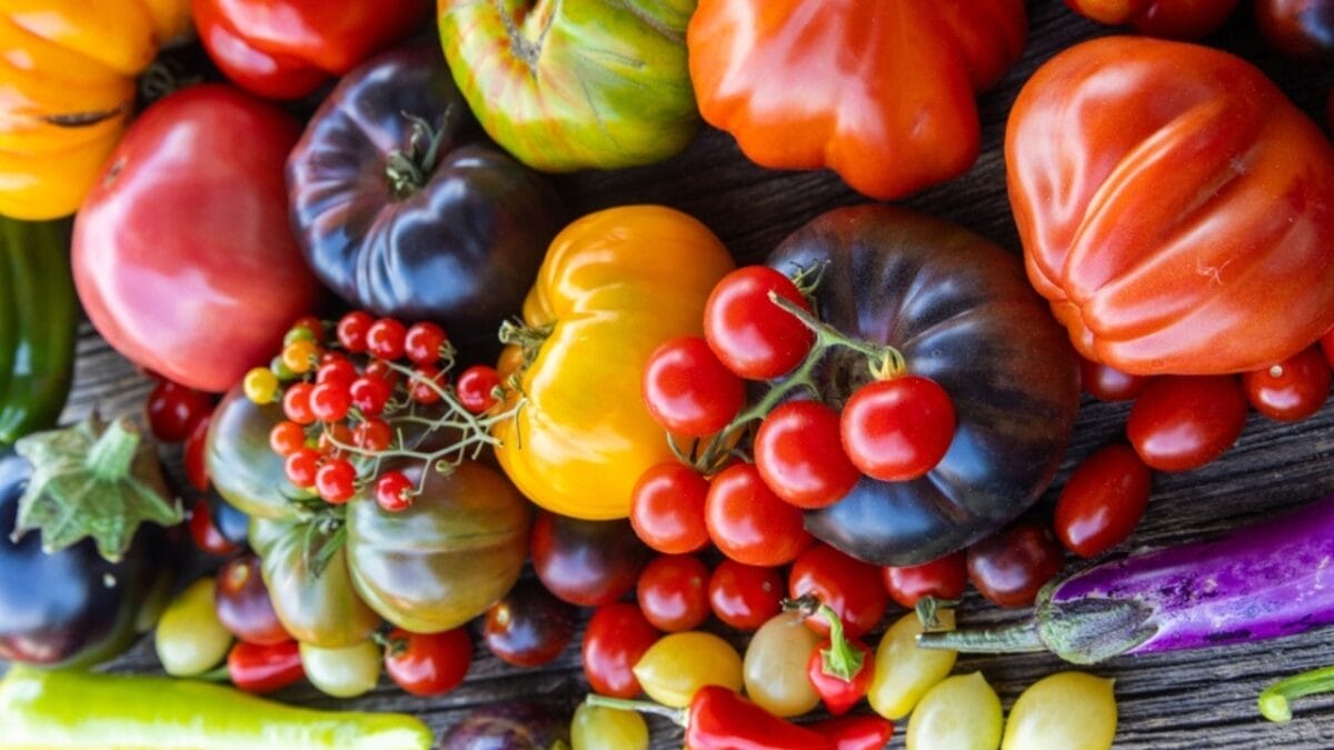 15 Profitable Homestead Side Hustles to Earn an Extra $1,000 Monthly 11 15 Profitable Homestead Side Hustles to Earn an Extra $1,000 Monthly - heirloom vegetable ss2361023811