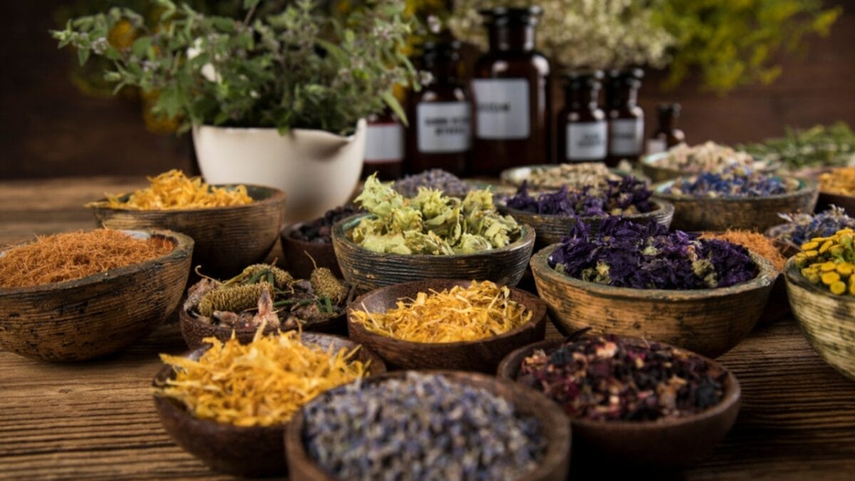 21 Lost Pioneer Skills That Few People Know Today - herbal medicine ss1578672706