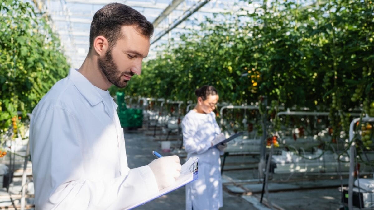 Deadly Fungus Discovered in Commercial Garden Soil & Compost by Study 6 Deadly Fungus Discovered in Commercial Garden Soil & Compost by Study - inspecting dp466590476