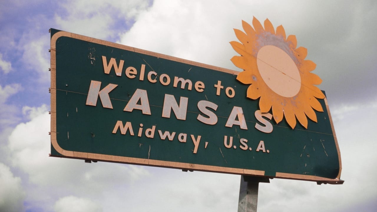 You'll See Sunflowers Differently After Learning These 10 Facts 10 You'll See Sunflowers Differently After Learning These 10 Facts - kansas sunflower ss102528788