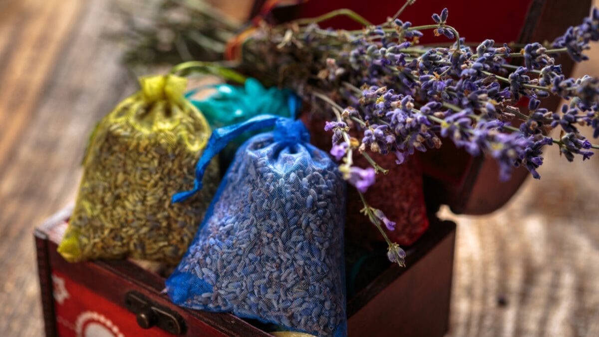 15 Ways to Put Your Lavender Leaves to Good Use 11 15 Ways to Put Your Lavender Leaves to Good Use - lavender dp205638212