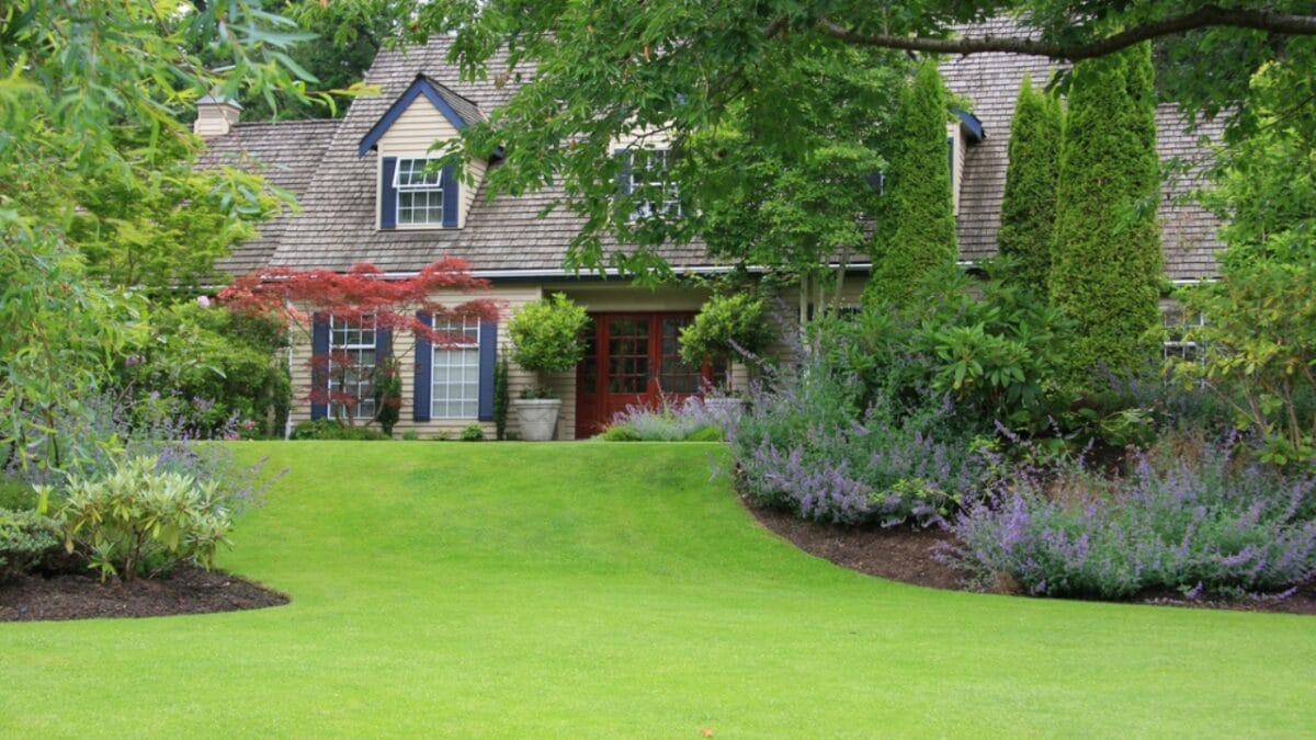 15 Tips to Banish Moss from Your Lawn 13 15 Tips to Banish Moss from Your Lawn - lawn circulation dp11105413