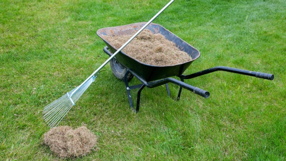 18 Composting Tips Every Beginner Needs to Turn Scraps into Garden Gold 5 18 Composting Tips Every Beginner Needs to Turn Scraps into Garden Gold - lawn dethatch dp274372442