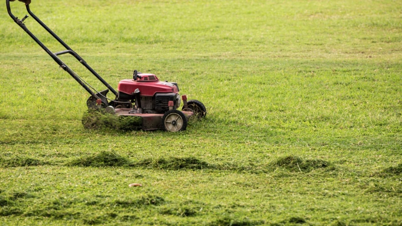 Wisconsin City Introduced 'No-Mow May,' Now Rethinks Approach Due to Issues 5 Wisconsin City Introduced 'No-Mow May,' Now Rethinks Approach Due to Issues - lawn mowing dp182692486