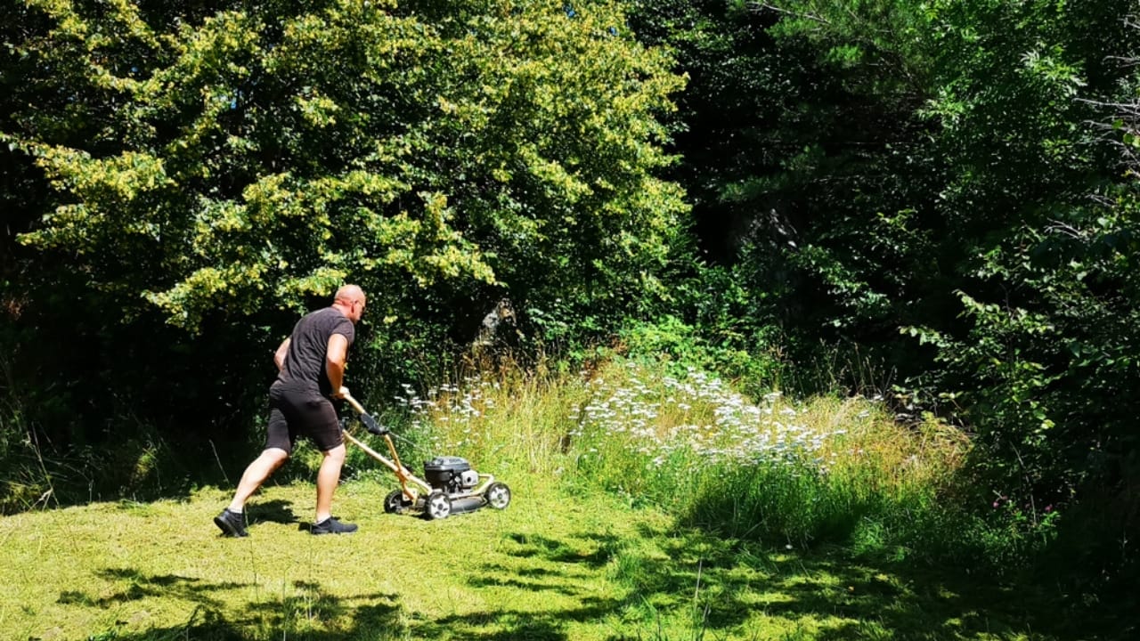 10 Lawn Mowing Mistakes to Avoid to Prevent Weed Invasion 11 10 Lawn Mowing Mistakes to Avoid to Prevent Weed Invasion - lawn mowing ss1454411414