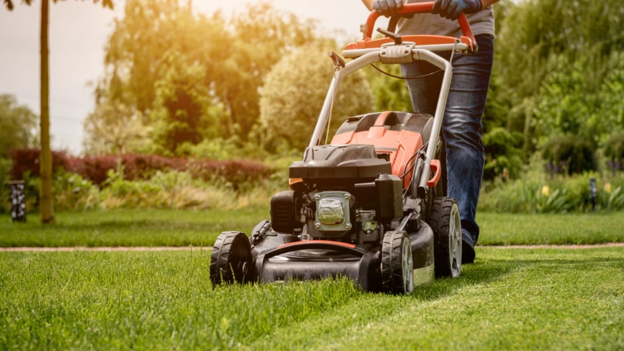Topdressing Gains Ground as the Go-To Lawn Care Method - lawn mowing ss1784011883