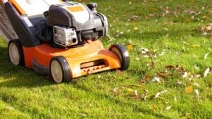 10 Lawn Mowing Mistakes to Avoid to Prevent Weed Invasion 1 10 Lawn Mowing Mistakes to Avoid to Prevent Weed Invasion - lawn mowing ss2339010683