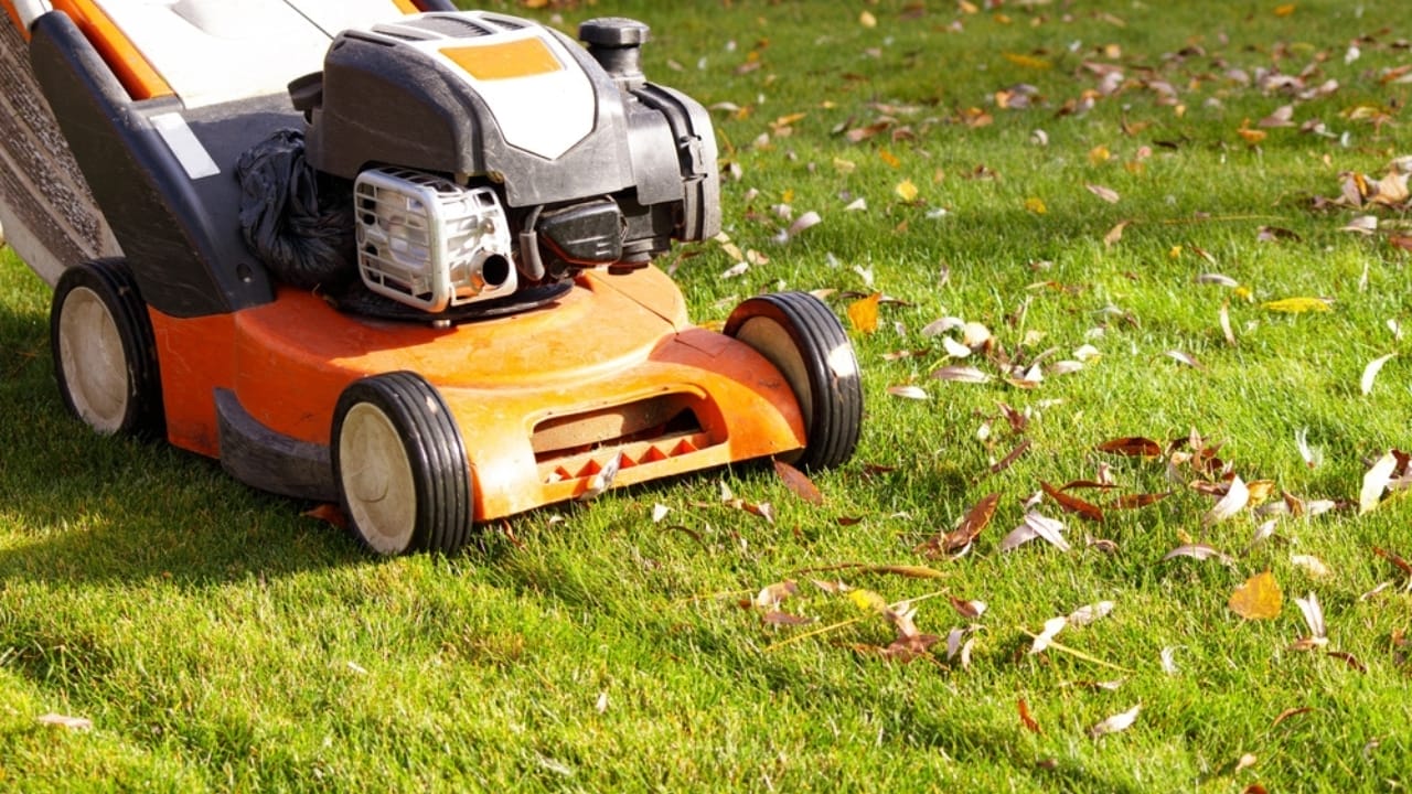 Homeowners, Don’t Skip These 15 Yearly Tasks to Save Serious Money Over Time - lawn mowing ss2339010683