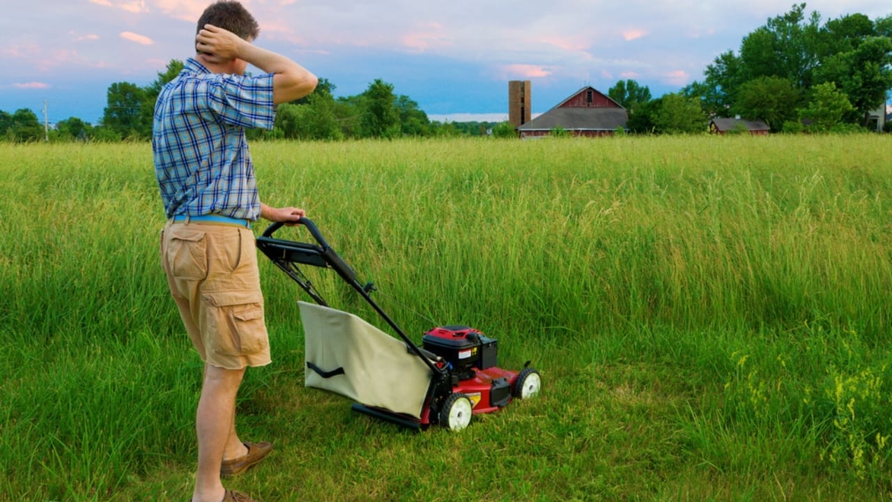 10 Lawn Mowing Mistakes to Avoid to Prevent Weed Invasion 3 10 Lawn Mowing Mistakes to Avoid to Prevent Weed Invasion - lawn mowing tall grass dp4177528