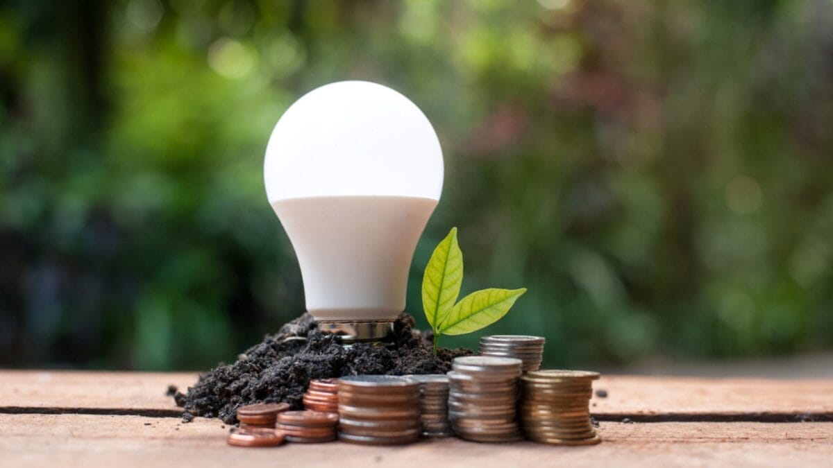 LED Light Bulbs & Incandescent Bans Aren't Lighting Up Consumers' Lives as Intended 4 LED Light Bulbs & Incandescent Bans Aren't Lighting Up Consumers' Lives as Intended - led bulb plant ss628419740