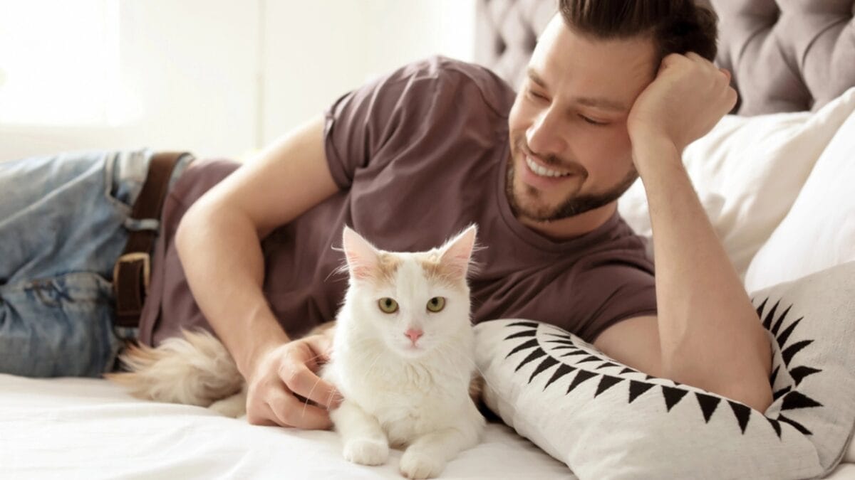 Why Cats Rule: 24 Reasons They're Better Than Dogs - man with cat dp195678050