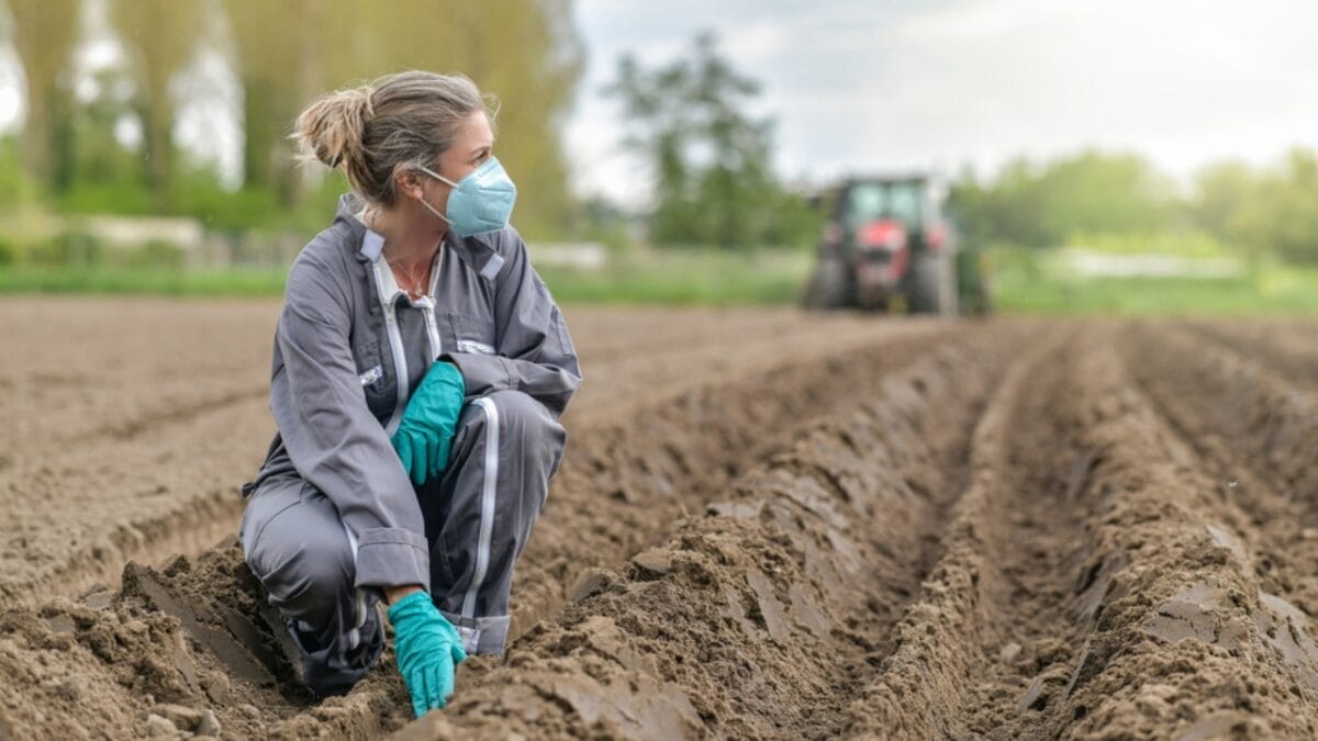 Deadly Fungus Discovered in Commercial Garden Soil & Compost by Study 5 Deadly Fungus Discovered in Commercial Garden Soil & Compost by Study - mask soil ss1719330124