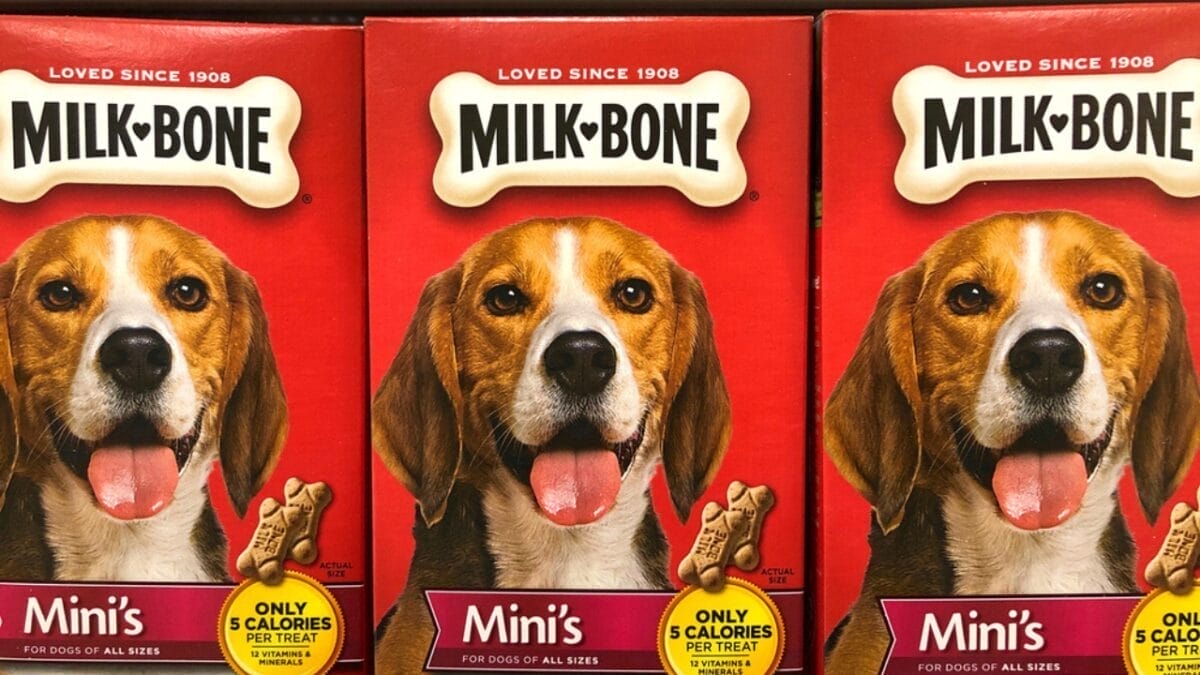 17 Dog Treat Brands with Ingredients to Steer Clear Of 3 17 Dog Treat Brands with Ingredients to Steer Clear Of - milk bone treats ss1779494420