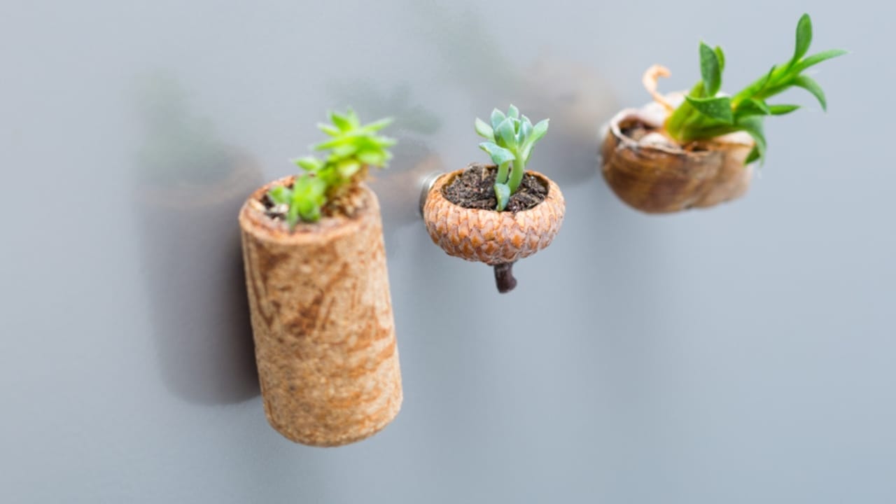 10 Creative Ways Gardeners Can Reuse Wine Corks - miniature plant ss1499934443