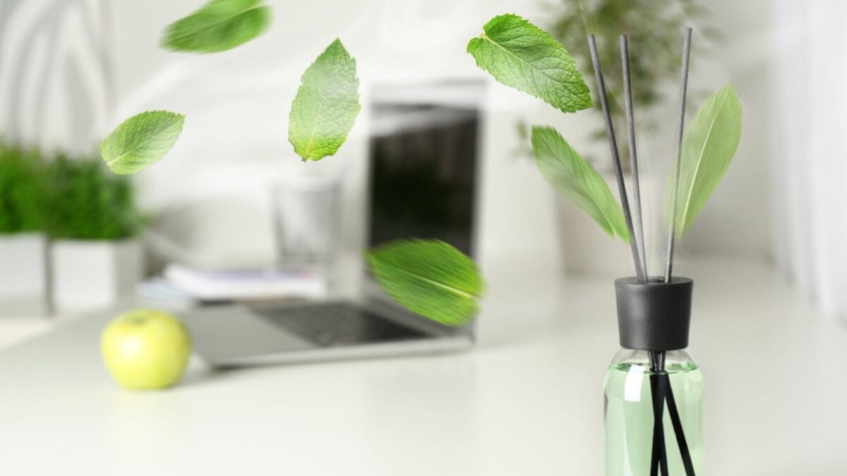 18 Simple Ways to Keep Your Home Smelling Fresh & Inviting 7 18 Simple Ways to Keep Your Home Smelling Fresh & Inviting - mint aroma ss1725705166