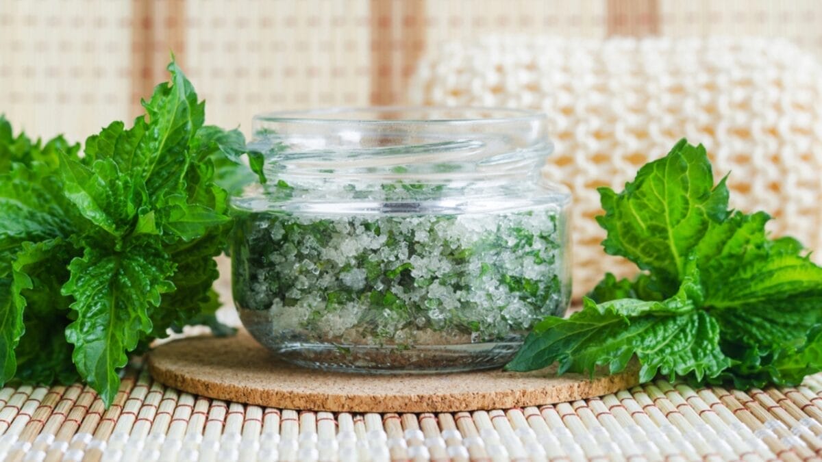 15 Ways to Use the Chocolate Mint Plant - mint scrub dp294746874