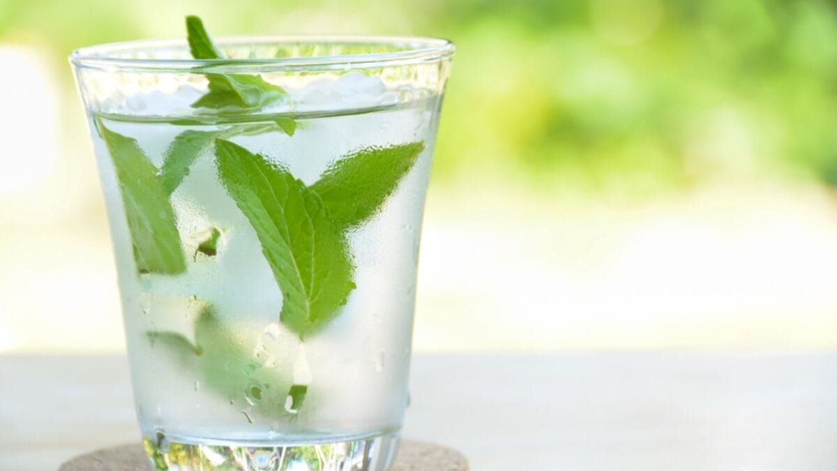 15 Ways to Use the Chocolate Mint Plant - mint water ss282340316