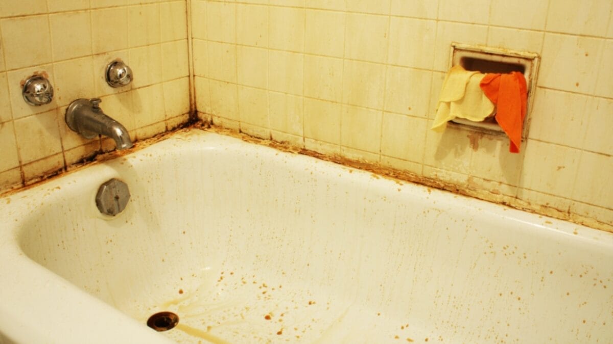 17 Bathroom Features to Avoid if You Want to Protect Your Home's Value 11 17 Bathroom Features to Avoid if You Want to Protect Your Home's Value - moldy bathroom dp18989413