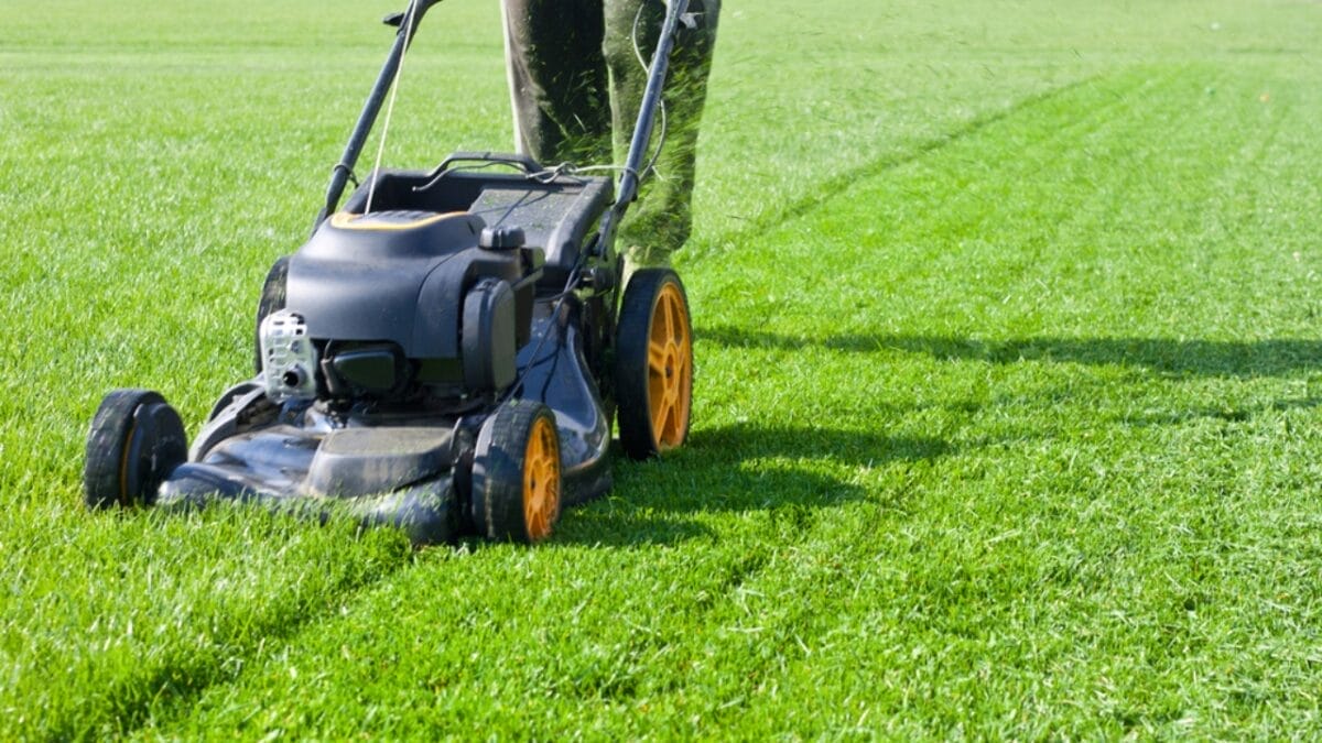 Front Yard Upgrades: 25 Simple Landscaping Ideas That Add Value - mowing lawn dp109321374