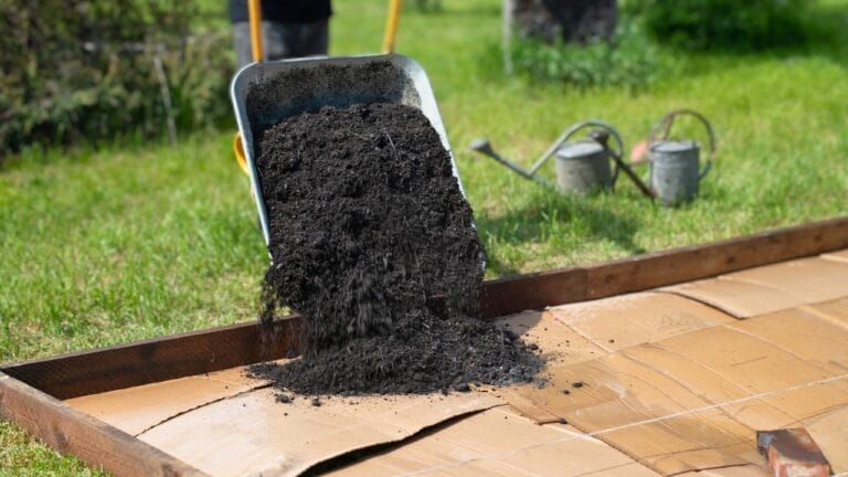 Say Goodbye to Weeding with This Life-Changing Gardening Method 5 Say Goodbye to Weeding with This Life-Changing Gardening Method - no dig gardening ss2303385483