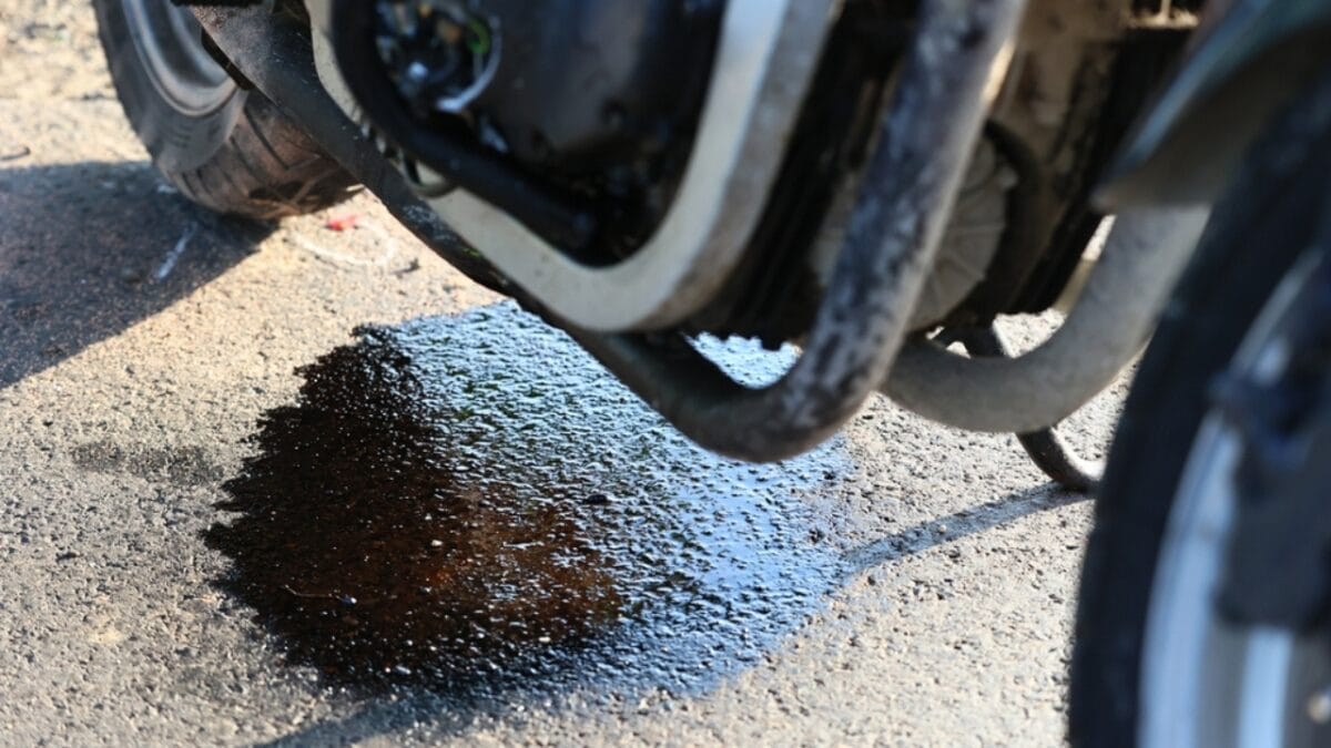 25 Useful Ways to Put Wood Ash to Work 13 25 Useful Ways to Put Wood Ash to Work - oil spill ss2360158897