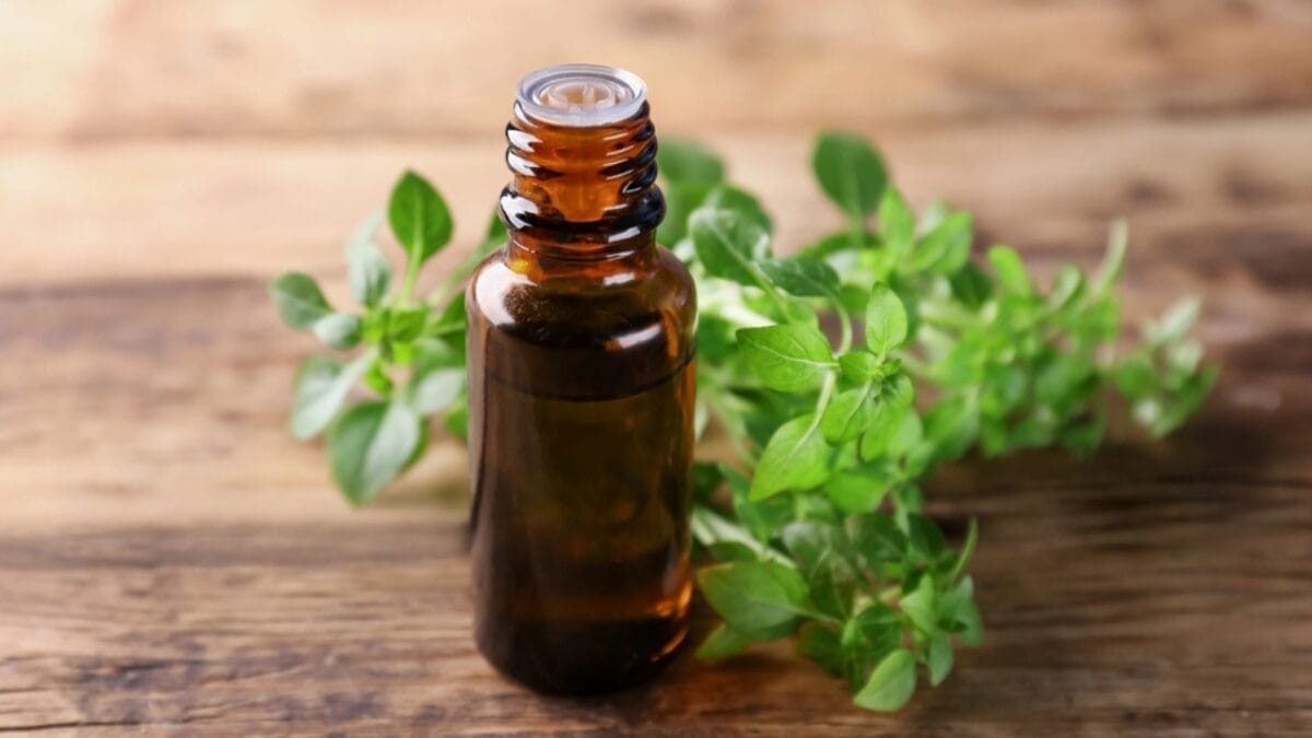 15 Natural Flu Fighters to Get You Back on Your Feet 12 15 Natural Flu Fighters to Get You Back on Your Feet - oregano oil dp169309384